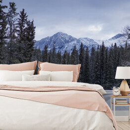 Fototapeta winylowa zmywalna Zima w górach, Park Narodowy Jasper, Jasper Alberta