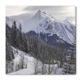 Obraz na płótnie Śnieg zakrywający szczyty gór, Kanada