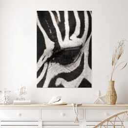 Plakat samoprzylepny Oko zebry