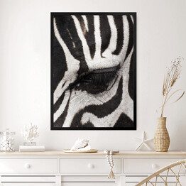Obraz w ramie Oko zebry