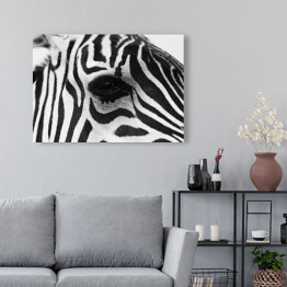 Obraz na płótnie Zebra w odcieniach szarości