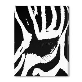 Obraz na płótnie Biało czarne oko zebry