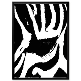 Plakat w ramie Biało czarne oko zebry