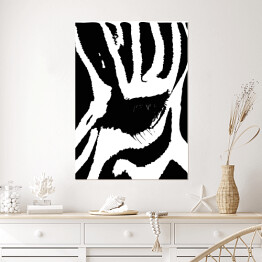 Plakat Biało czarne oko zebry