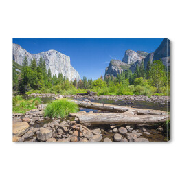 Obraz na płótnie Park Narodowy Yosemite, Kalifornia, USA