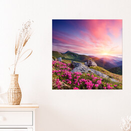 Plakat samoprzylepny Krajobraz z kwiatami w górach