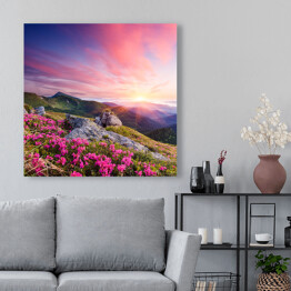 Obraz na płótnie Krajobraz z kwiatami w górach