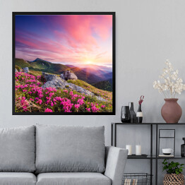 Obraz w ramie Krajobraz z kwiatami w górach