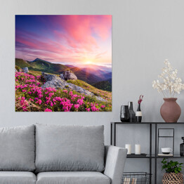 Plakat samoprzylepny Krajobraz z kwiatami w górach