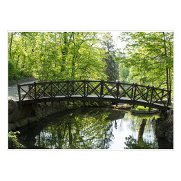 Plakat Stary drewniany most w parku wiosną