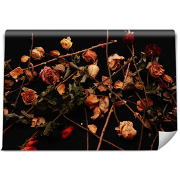 Fototapeta Wysuszone herbaciane róże