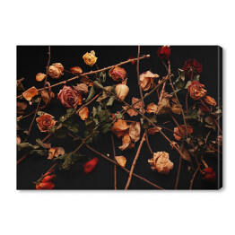 Obraz na płótnie Wysuszone herbaciane róże