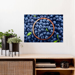 Plakat Świeże jagody