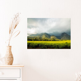 Plakat Góra Mlandżi z plantacją herbaty i pochmurnym niebem