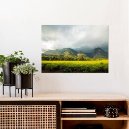 Plakat samoprzylepny Góra Mlandżi z plantacją herbaty i pochmurnym niebem