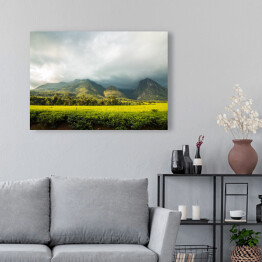 Obraz na płótnie Góra Mlandżi z plantacją herbaty i pochmurnym niebem