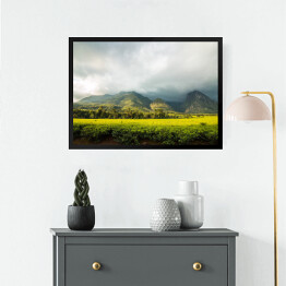Obraz w ramie Góra Mlandżi z plantacją herbaty i pochmurnym niebem