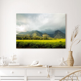 Obraz na płótnie Góra Mlandżi z plantacją herbaty i pochmurnym niebem
