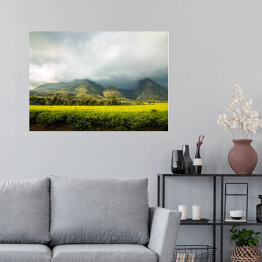 Plakat samoprzylepny Góra Mlandżi z plantacją herbaty i pochmurnym niebem