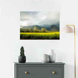 Plakat Góra Mlandżi z plantacją herbaty i pochmurnym niebem