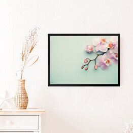 Obraz w ramie Zwisająca orchidea 