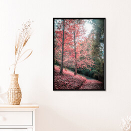 Plakat w ramie Chodnik i czerwone drzewo jesienią
