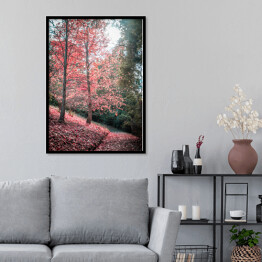 Plakat w ramie Chodnik i czerwone drzewo jesienią