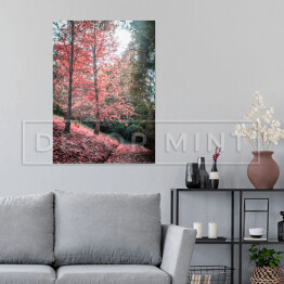 Plakat samoprzylepny Chodnik i czerwone drzewo jesienią