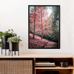 Obraz w ramie Chodnik i czerwone drzewo jesienią