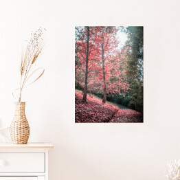 Plakat Chodnik i czerwone drzewo jesienią