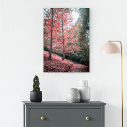Obraz na płótnie Chodnik i czerwone drzewo jesienią