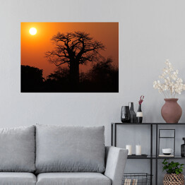 Plakat samoprzylepny Baobab na tle słońca, Południowa Afryka