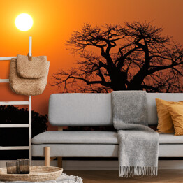 Fototapeta samoprzylepna Baobab na tle słońca, Południowa Afryka