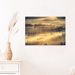 Plakat samoprzylepny Słońce przedzierające się przez mgłę w lesie