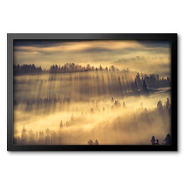 Obraz w ramie Słońce przedzierające się przez mgłę w lesie