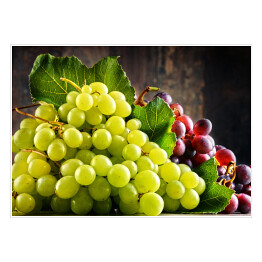 Plakat Kompozycja ze świeżych winogron