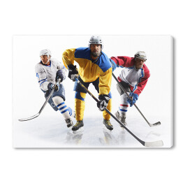Obraz na płótnie Profesjonalni gracze hokejowi w akcji