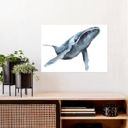 Plakat Niebieski wieloryb - akwarela