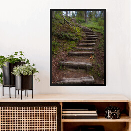 Obraz w ramie Drewniane schody jako część szlaku turystycznego w lesie