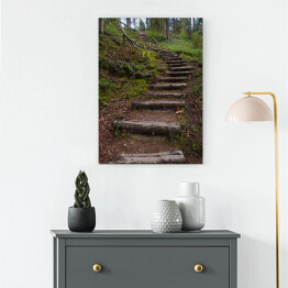 Obraz na płótnie Drewniane schody jako część szlaku turystycznego w lesie