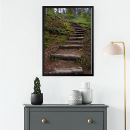 Obraz w ramie Drewniane schody jako część szlaku turystycznego w lesie