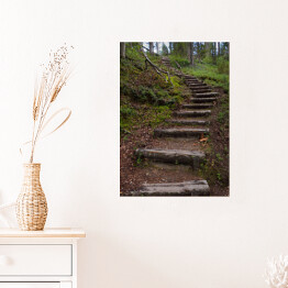 Plakat samoprzylepny Drewniane schody jako część szlaku turystycznego w lesie