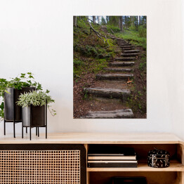 Plakat samoprzylepny Drewniane schody jako część szlaku turystycznego w lesie