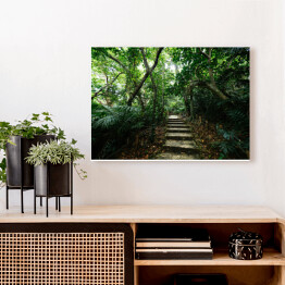 Obraz klasyczny Dżungla Ishigakijima - schody wśród drzew