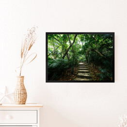 Obraz w ramie Dżungla Ishigakijima - schody wśród drzew