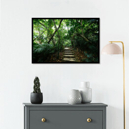 Plakat w ramie Dżungla Ishigakijima - schody wśród drzew