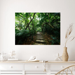 Plakat samoprzylepny Dżungla Ishigakijima - schody wśród drzew