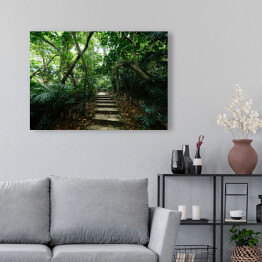 Obraz klasyczny Dżungla Ishigakijima - schody wśród drzew