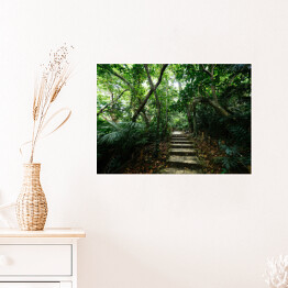 Plakat samoprzylepny Dżungla Ishigakijima - schody wśród drzew