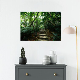 Plakat Dżungla Ishigakijima - schody wśród drzew